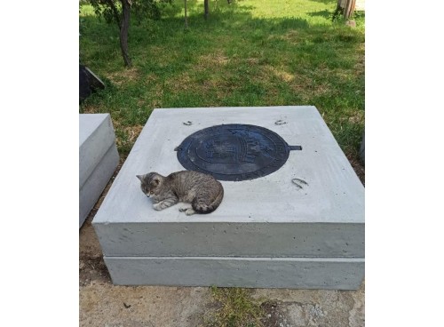 Placi carosabile camine